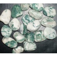 GREEN TREE AGATE TUMBLED PEBBLES STONE